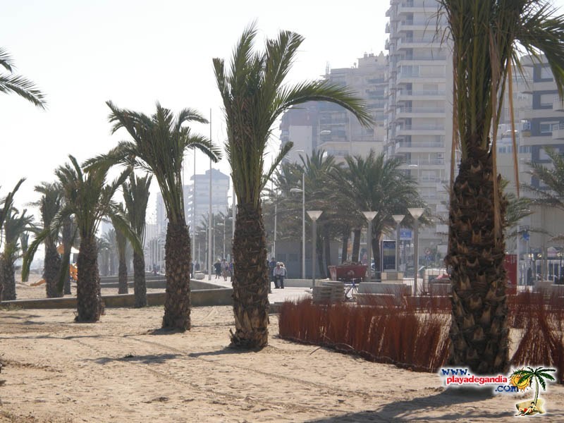 Pasarela Norte