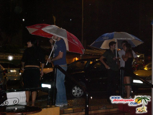 Paco Paco 1 2008
