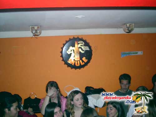 Paco Paco 2 2005