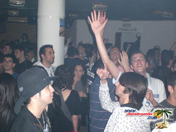 Torero Torero 2008
