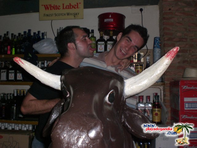 Torero Torero 2008