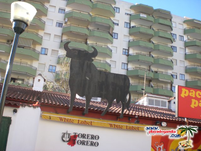 Torero Torero 2009