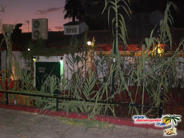 Torero Torero 2009